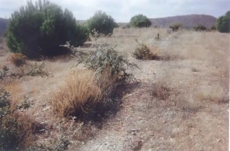 Rustikales Grundstück zum Verkauf in Lúcar, imagen 7