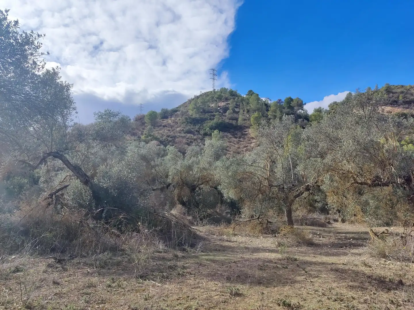 Terrain rustique à vendre à Riba-roja d'Ebre, imagen 7