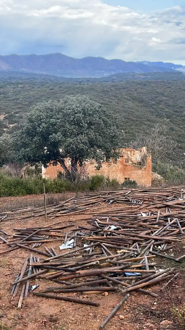 Terreno rustico in vendita a Urbanizacion el Elena S-7 6, imagen 9