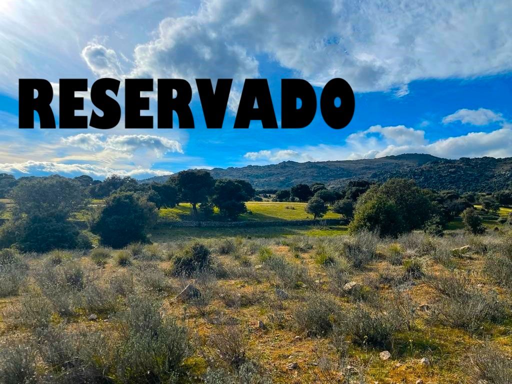 Exterior view of Land for sale in Colmenar Viejo