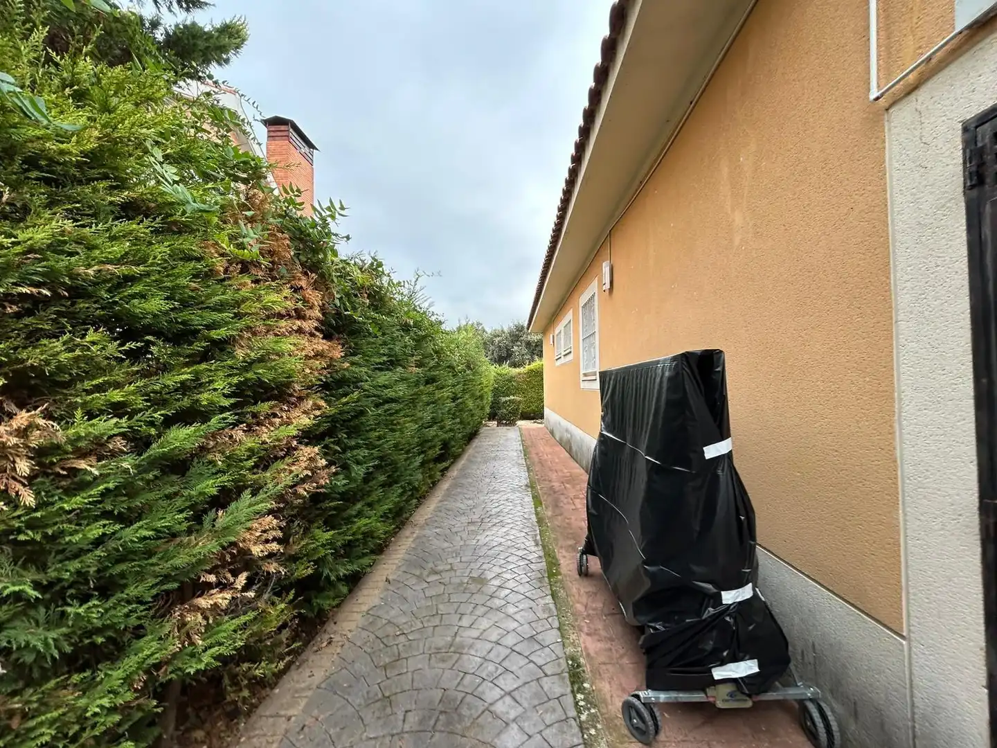 Vista exterior de Casa o xalet en venda en Pioz amb Calefacció, Jardí privat i Alarma