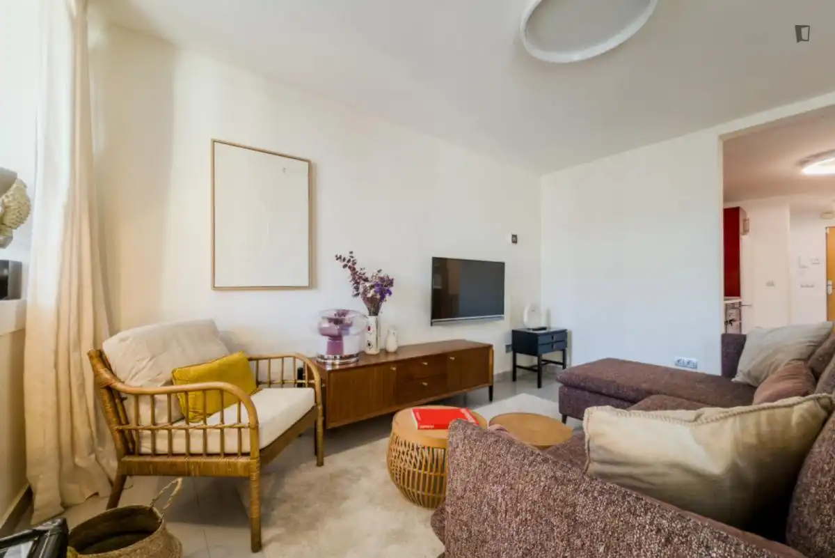 Sala de estar de Apartamento de alquiler en Barcelona con Aire acondicionado, Calefacción y Amueblado