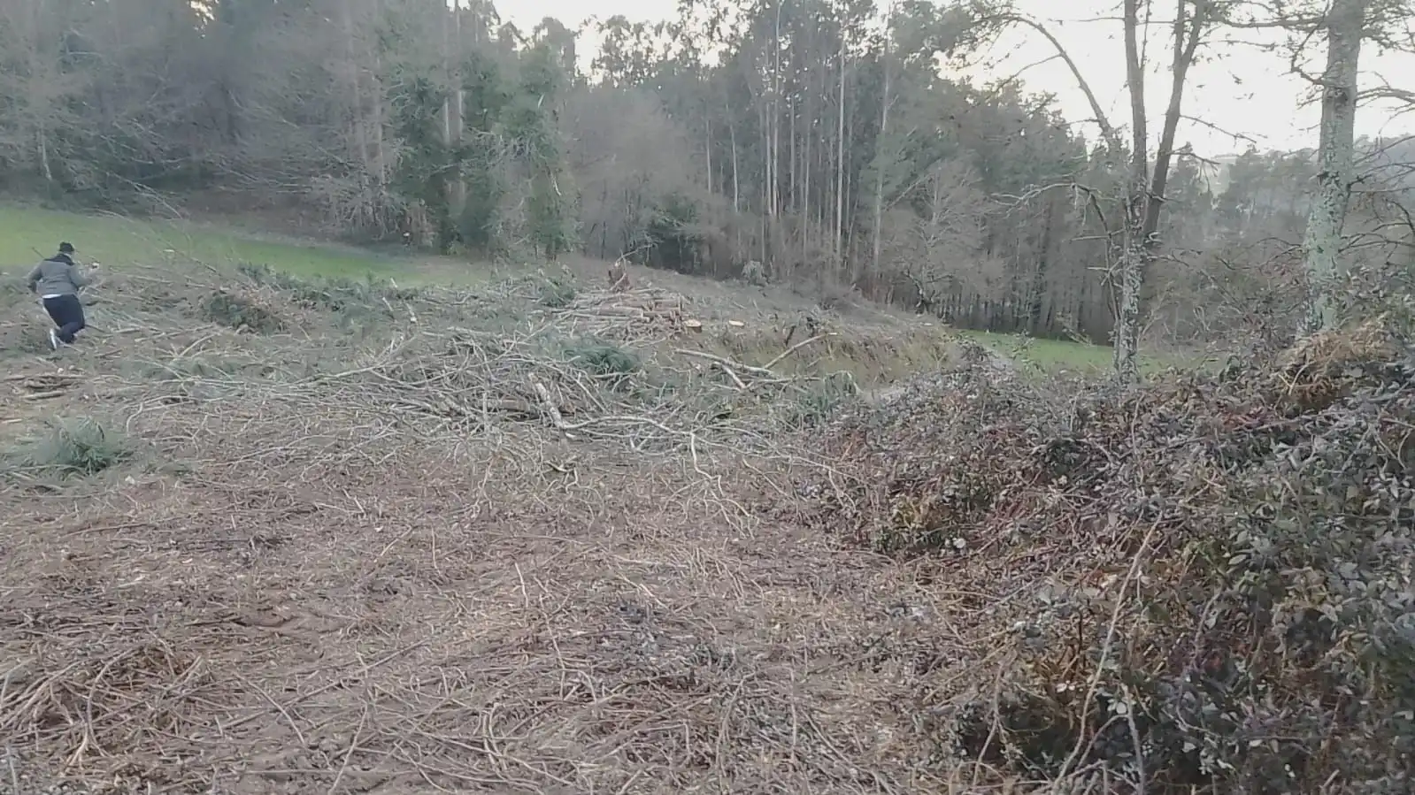 Wohnbaugrundstück zum Verkauf in Vilarmaior, imagen 2