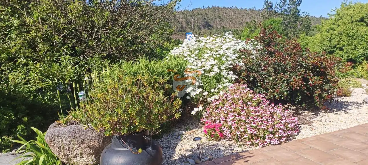 Terreni e lotti in vendita a San Sadurniño, imagen 32