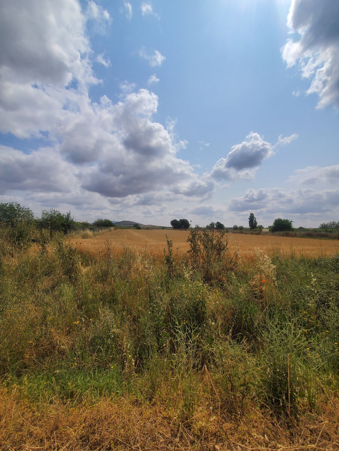 Finca rústica en venta en Malagón