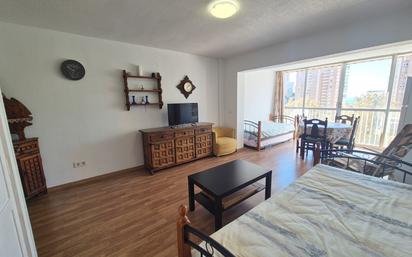 Living room of Study for sale in Benidorm  with Air Conditioner, Swimming Pool and Balcony