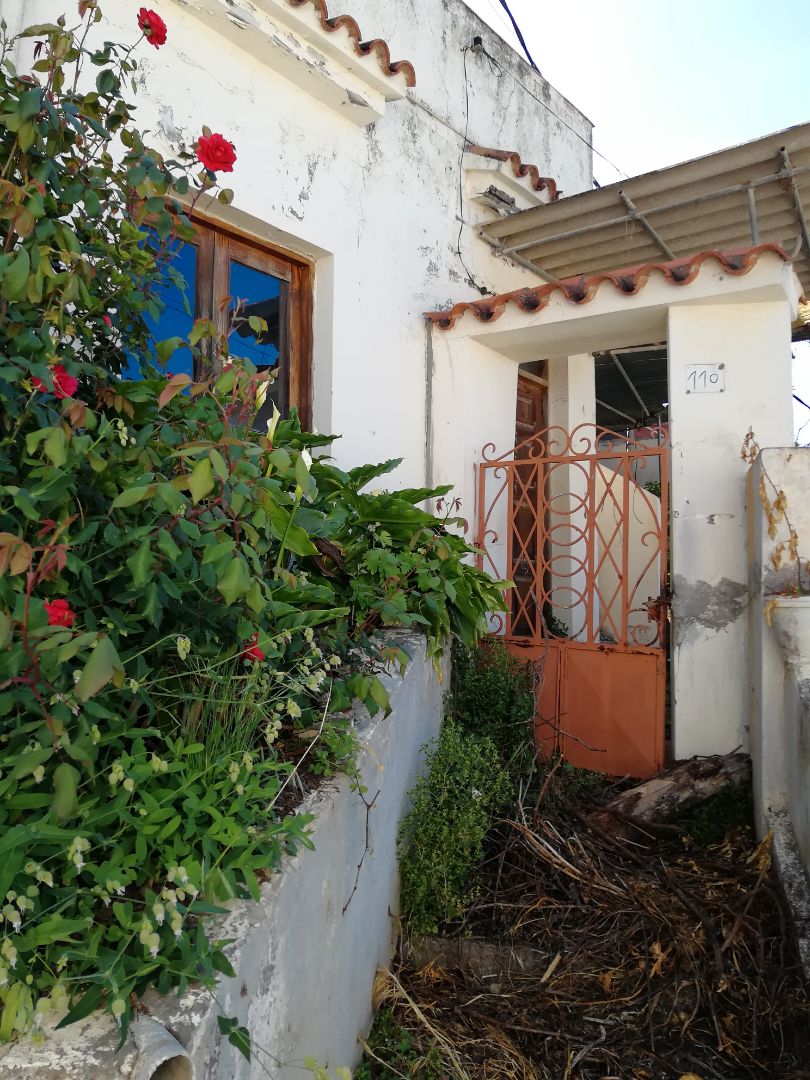 Jardín de Finca rústica en venta en Vega de San Mateo