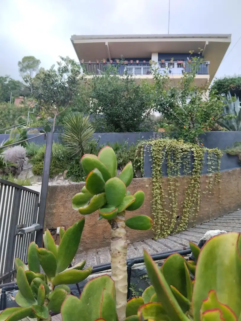 Jardín de Casa o chalet en venta en Castellar del Vallès con Calefacción, Terraza y Piscina