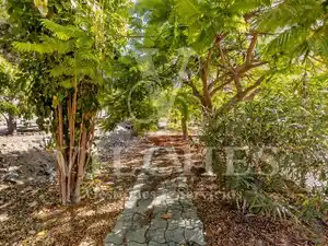 Garden of Houses for sale in Playa del Cura - Taurito
