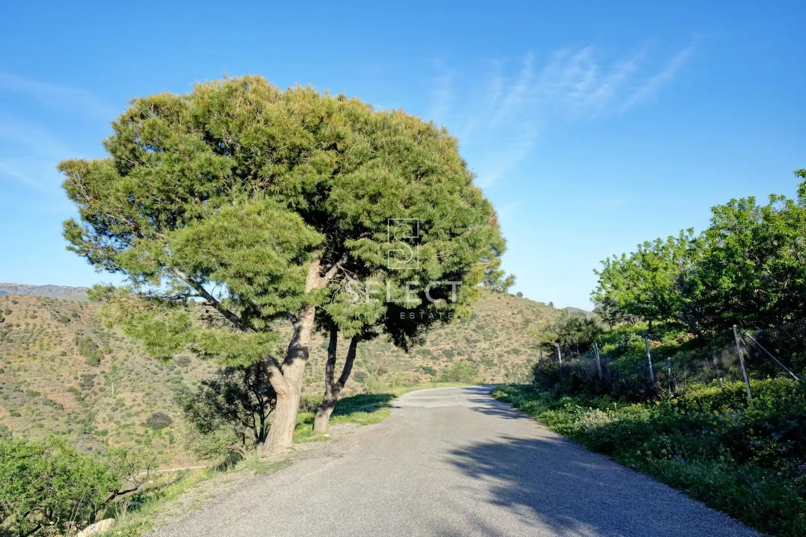 Vista exterior de Casa o xalet en venda en Lújar amb Terrassa