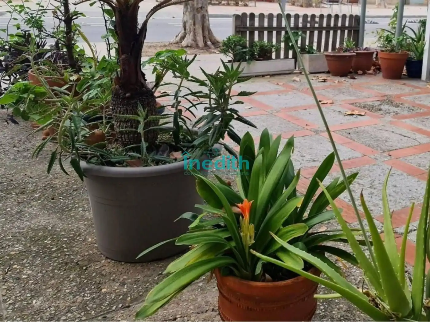Jardín de Local en venta en Castelldefels con Terraza
