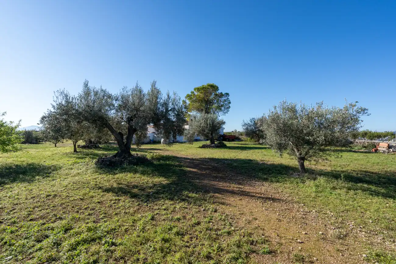 Finca rústica en venta en Roquetes con Amueblado