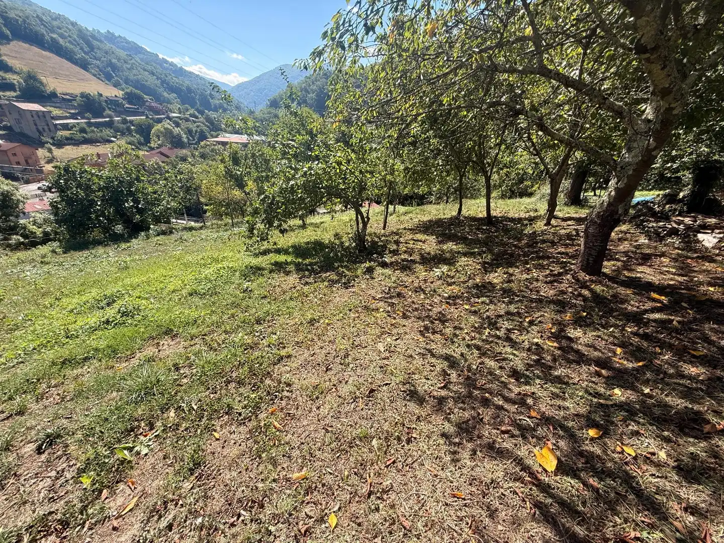 Maison jumelée avec jardin à vendre à Quirós, imagen 39
