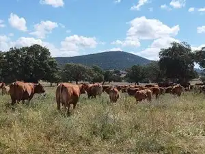 Terreni e lotti in vendita a Norte, imagen 25