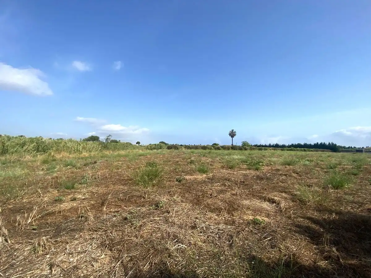 Lands and plots for sale in Els Poblets, imagen 6