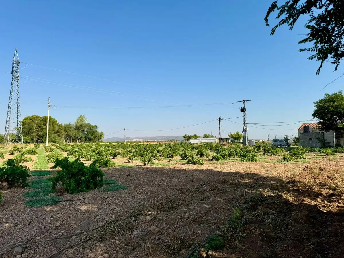 Casa rústica en venda a Valdepeñas, imagen 27