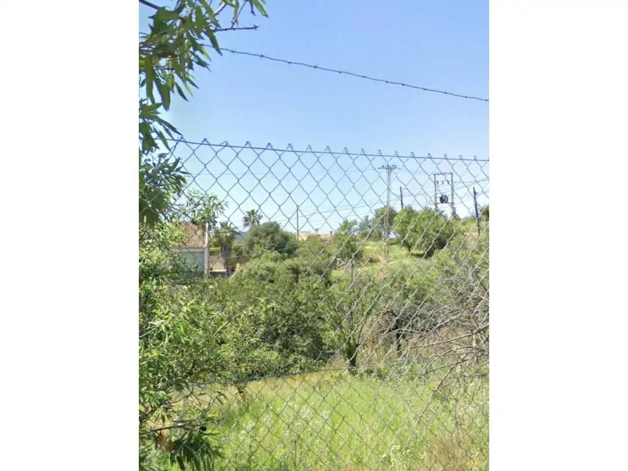 Terreno residencial en venta en Calvià pueblo, imagen 4