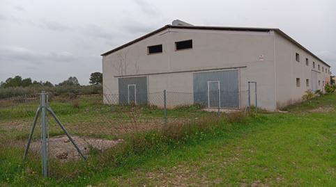 Foto 4 von Fabrikhallen zum Verkauf in Ginestar, Tarragona