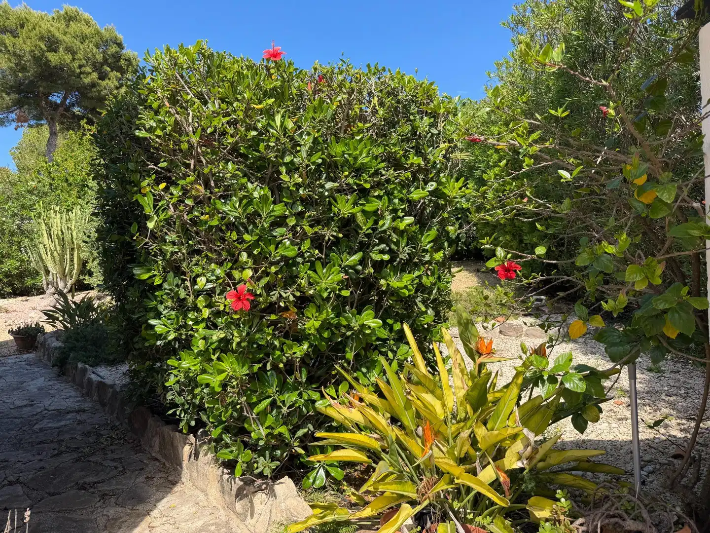 Garden of Houses for sale in Jávea / Xàbia  with Private garden, Terrace and Swimming Pool