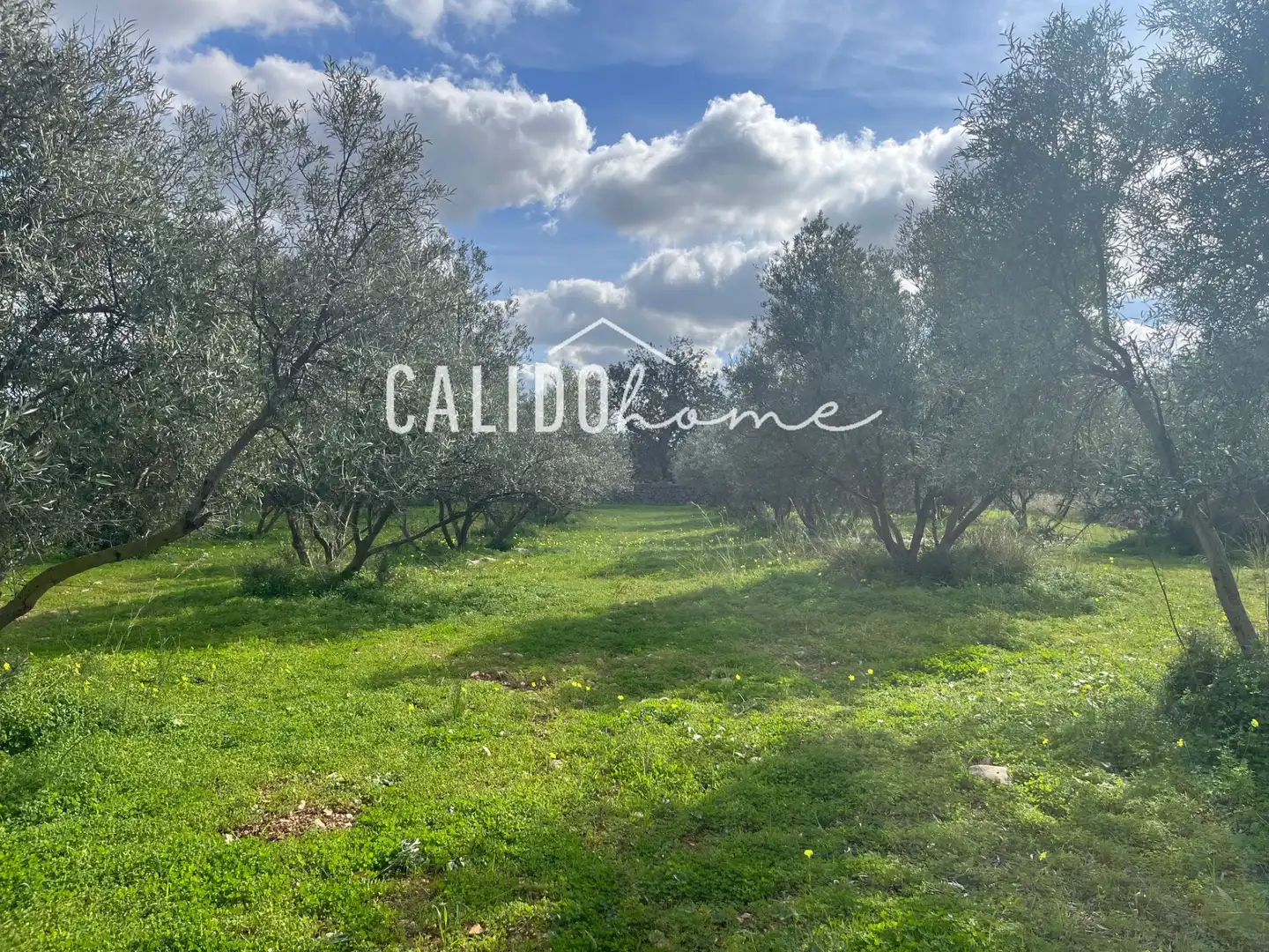 Terreno rústico en venta en Lloseta, imagen 6