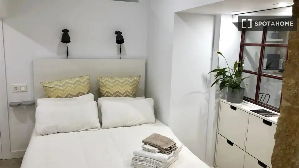 Room in Universidad - Tenerías