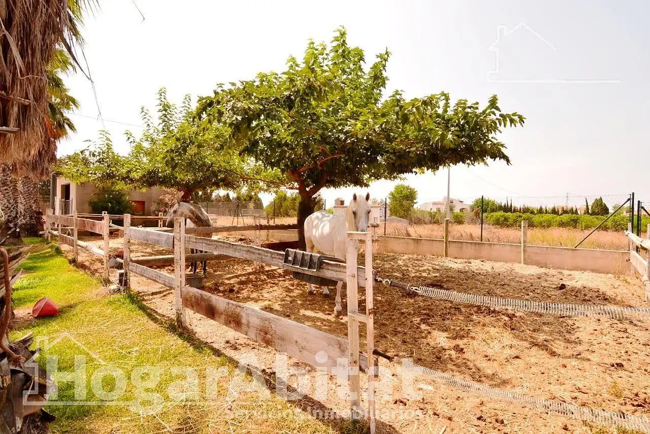 Jardí de Casa o xalet en venda en Oliva amb Aire condicionat, Jardí privat i Terrassa