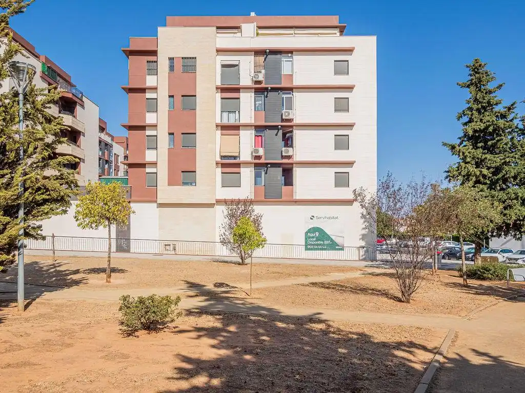 Local commercial à vendre à Calle Hermanas Mirabal 12, imagen 2
