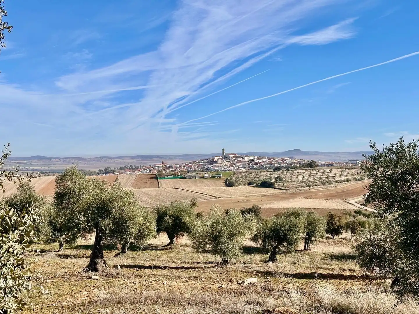 Rural land for sale in Fuente Obejuna, imagen 4