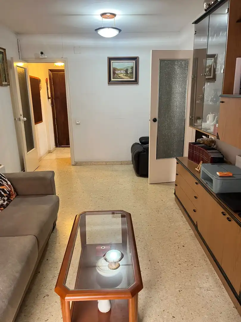 Sala d'estar de Pis en venda en Artigues - Llefià