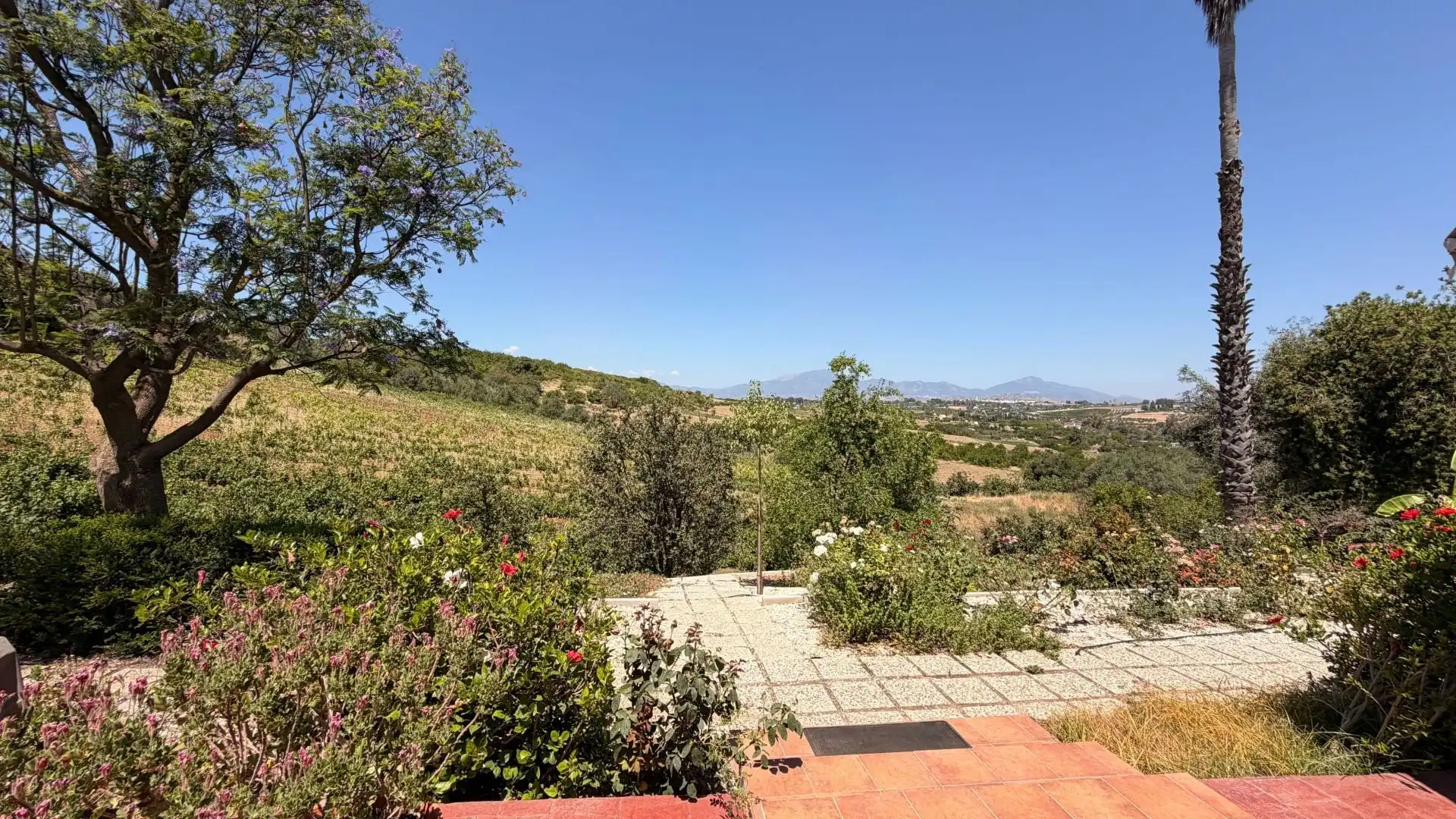Finca rústica en venta en Centro