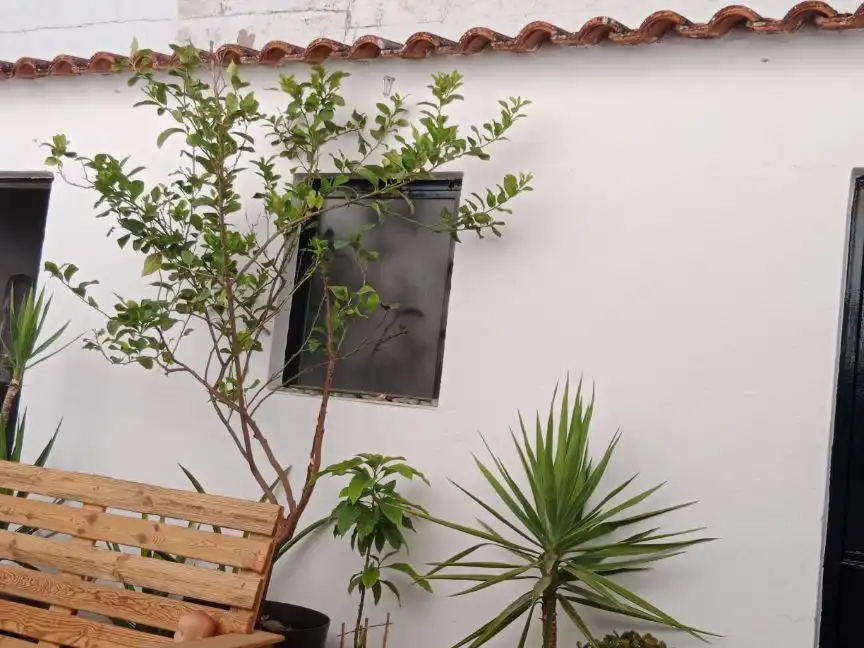 Terrassa de Dúplex en venda en Los Santos de Maimona amb Jardí privat, Terrassa i Traster