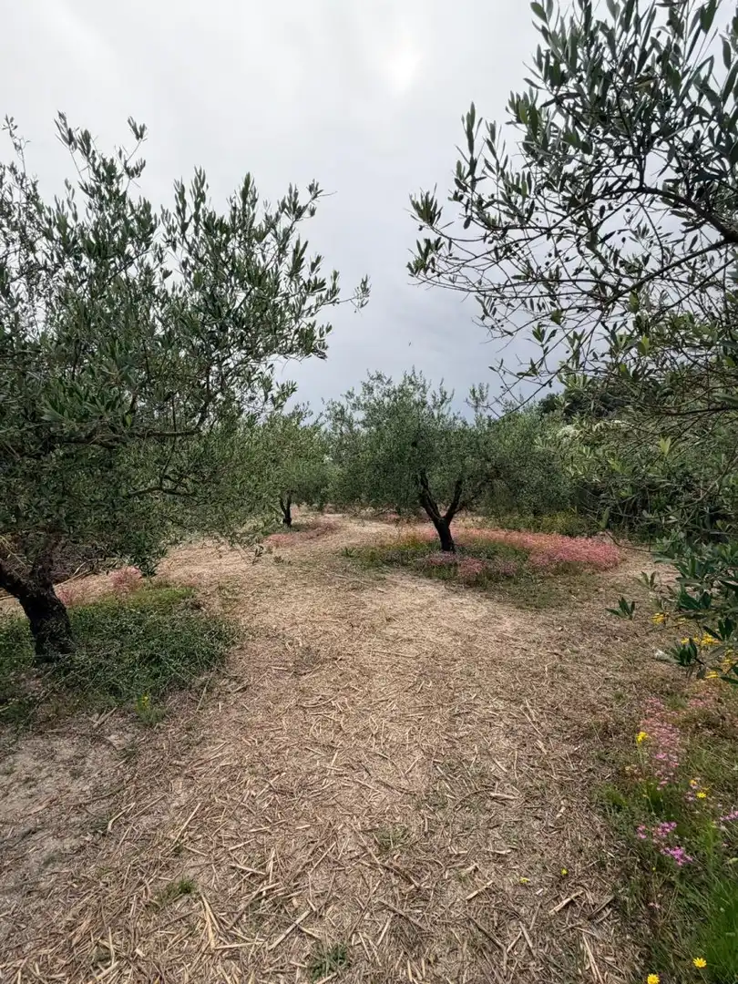 Terreno residenziale in vendita a Albaida, imagen 9