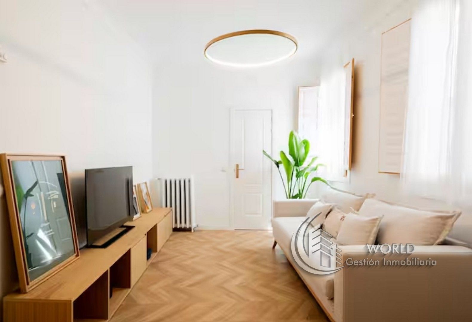 Living room of Flat for sale in  Madrid Capital  with Air Conditioner, Heating and Furnished