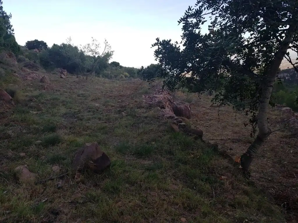 Terreno rústico en venta en CANTERERES, LES, imagen 12