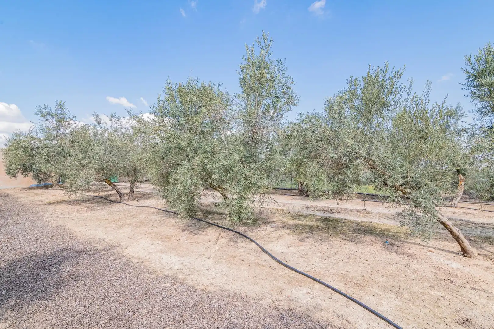 Finca rústica de alquiler en Chauchina con Aire acondicionado, Terraza y Trastero