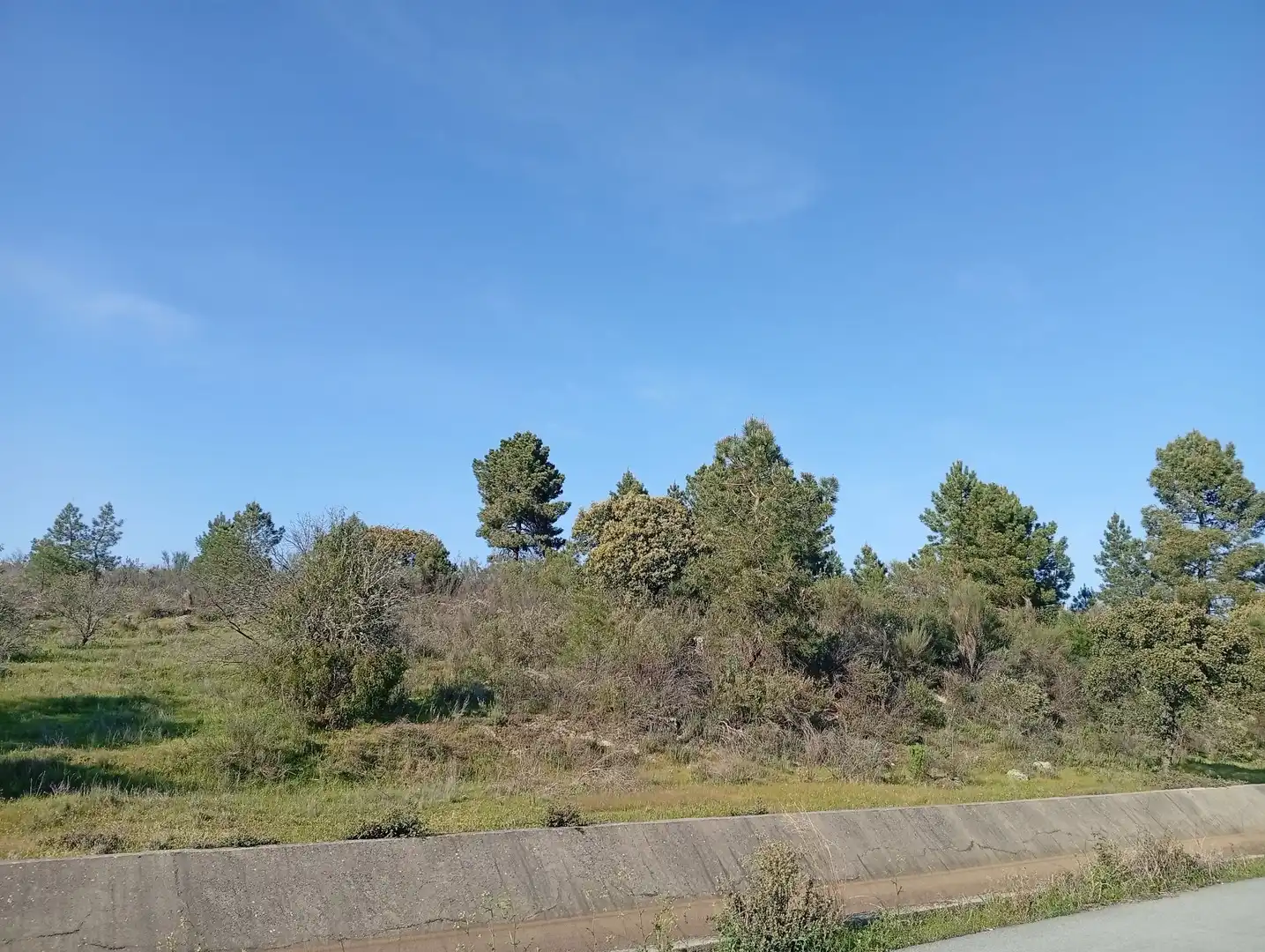 Terreni e lotti in vendita a Villanueva de la Vera, imagen 8