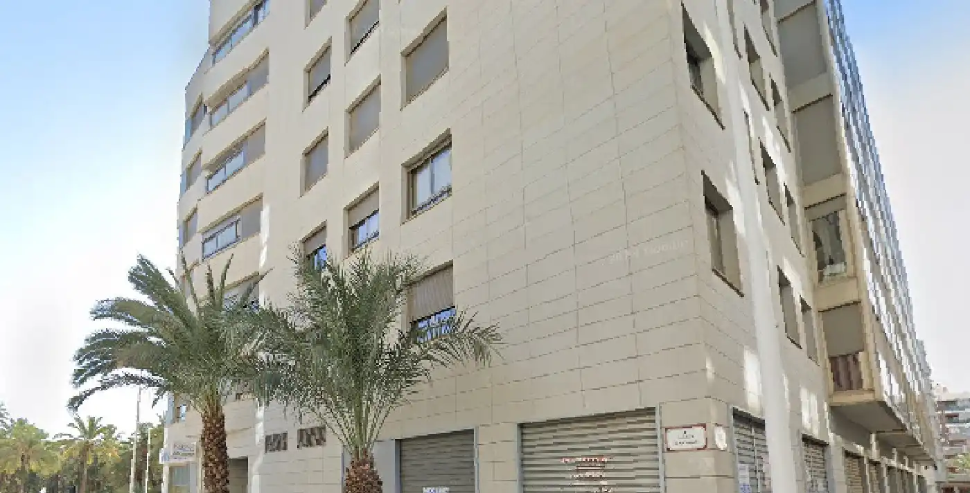 Exterior view of Commercial properties for rent in Elche / Elx
