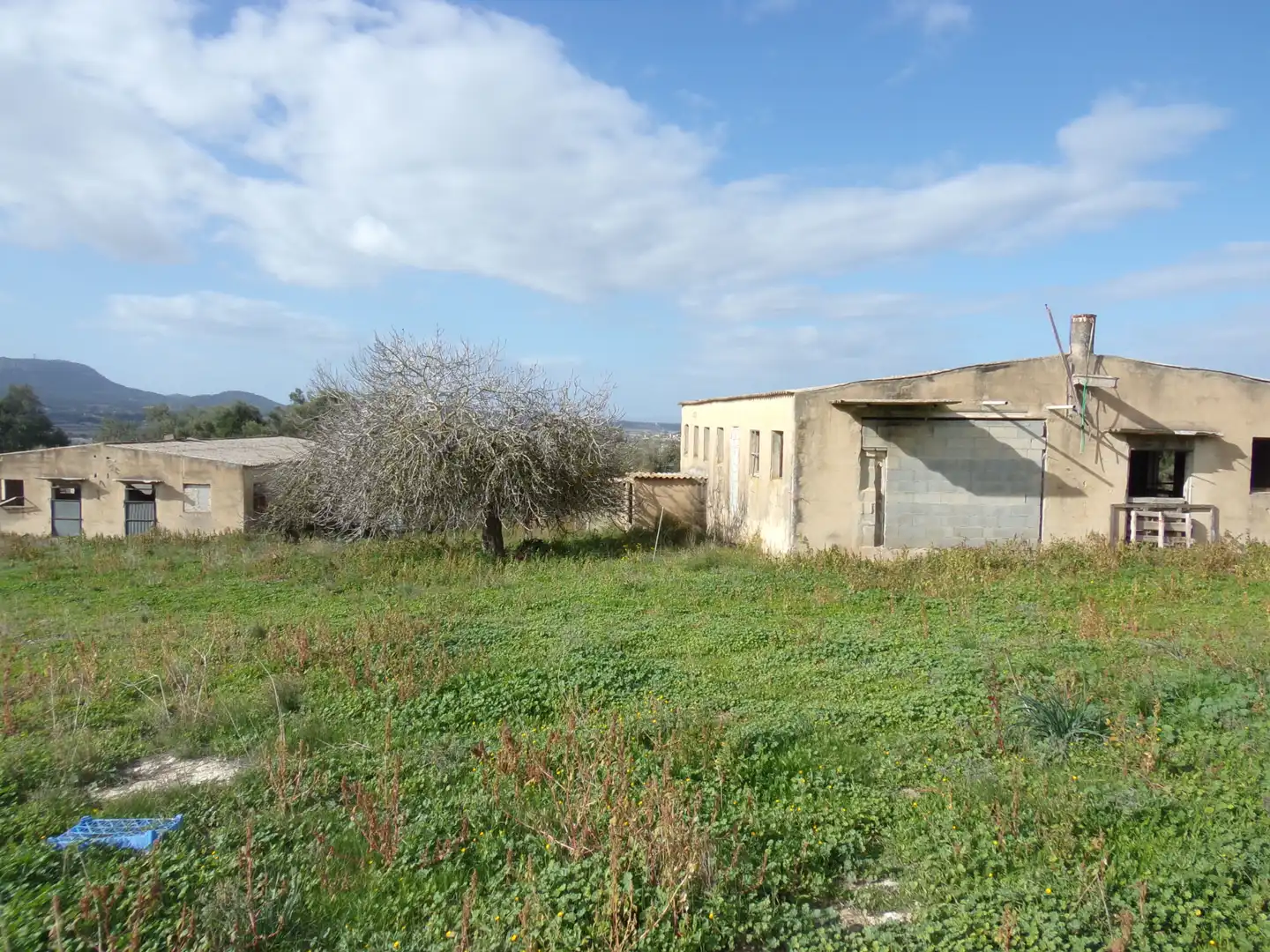 Nau industrial en venda en Montuïri, Illes Balears