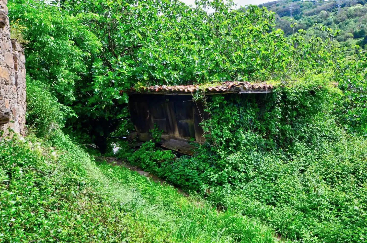 Jardín de Casa o chalet en venta en Mieres (Asturias) con Piscina