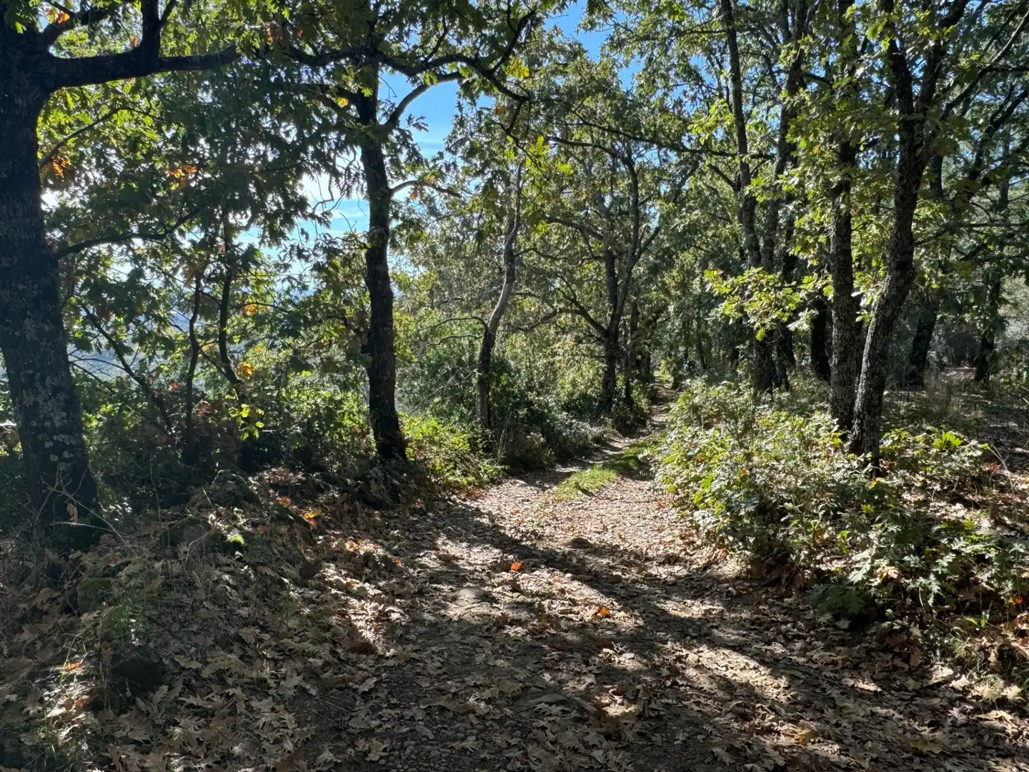 Finca rústica en venta en Candeleda con Jardín privado