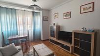 Sala d'estar de Pis de lloguer en A Coruña Capital  amb Calefacció, Parquet i Moblat