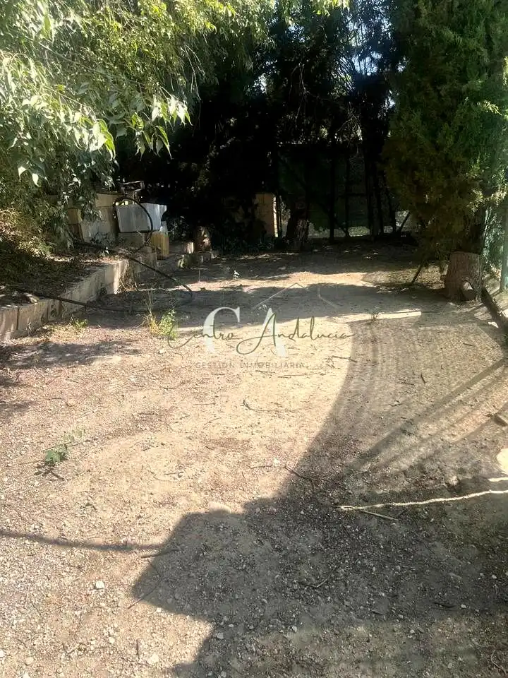 Terrenys i solars en venda a Ribera Baja, imagen 5
