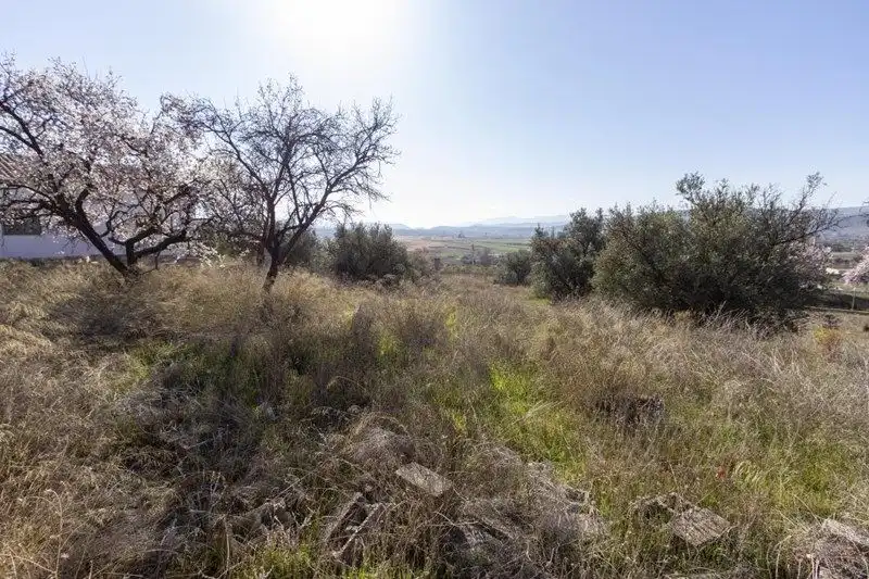 Terreni e lotti in vendita a Avenida de Andalucía, imagen 8