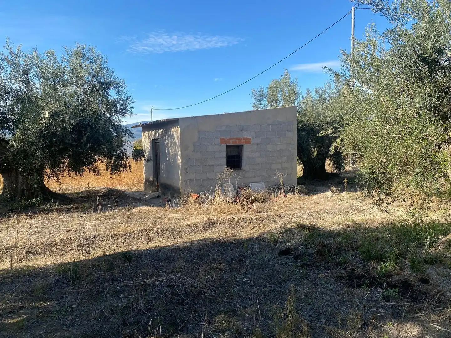Terreny rústic en venda a Moratalla