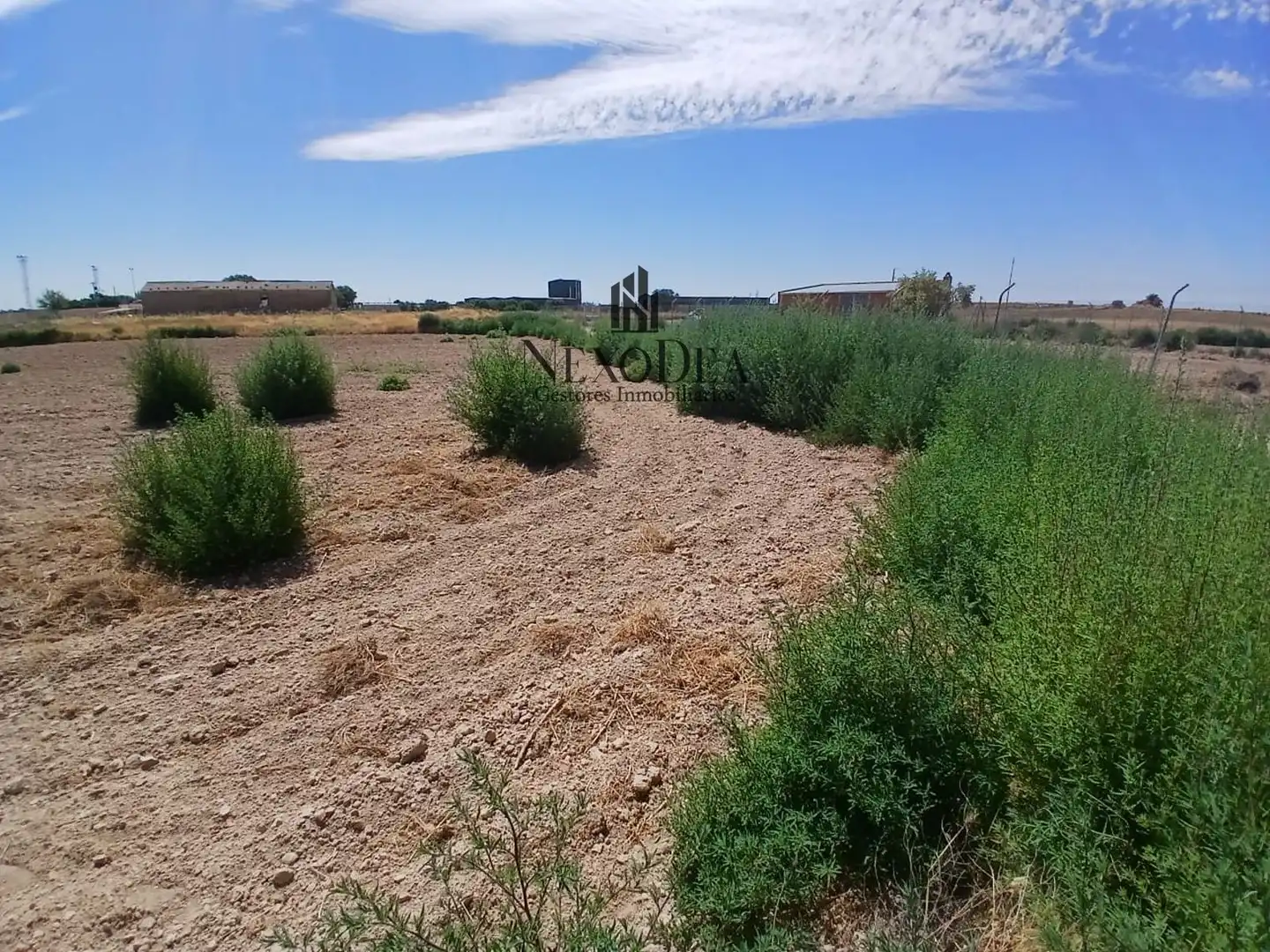 Terreno rustico in vendita a Julián González, imagen 17