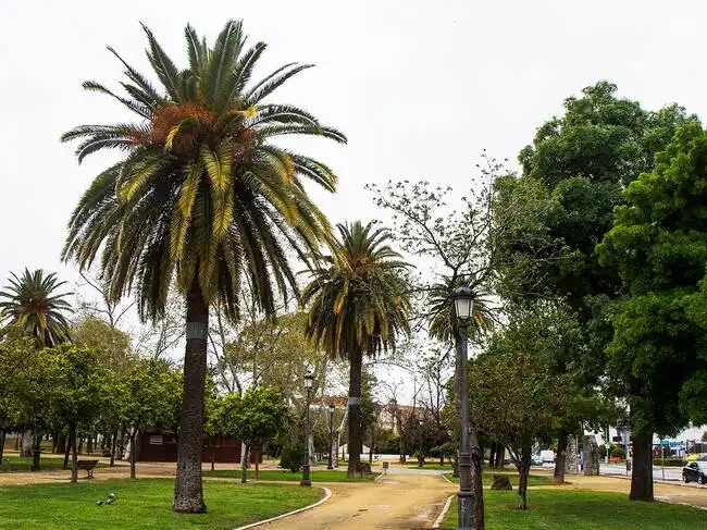 Vista exterior de Pis en venda en El Retiro - Parque Atlántico - Ronda este