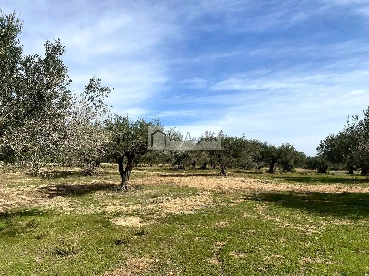 Terreno rustico in vendita a Planas, imagen 6