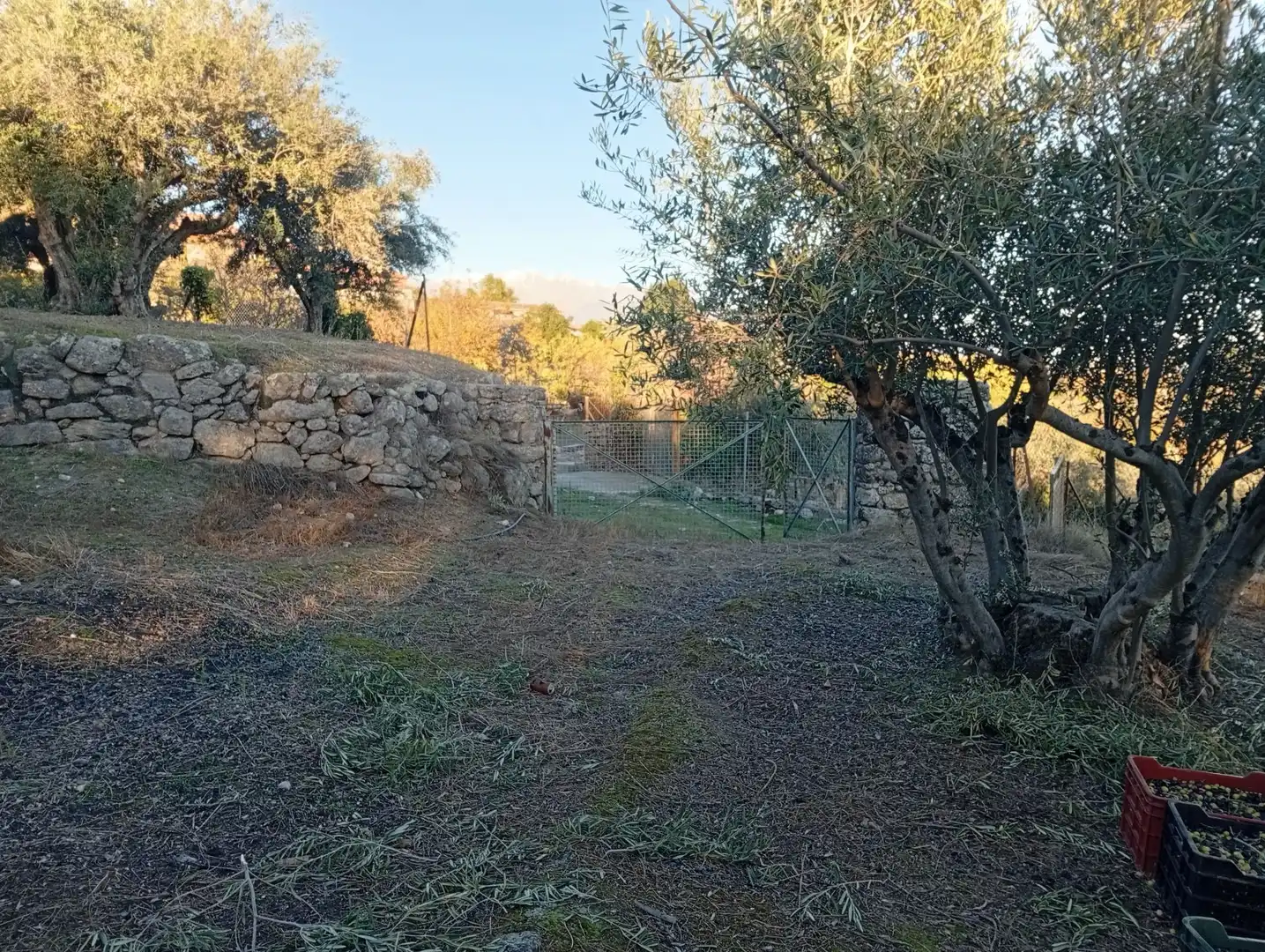 Terreni e lotti in vendita a Villanueva de la Vera, imagen 14