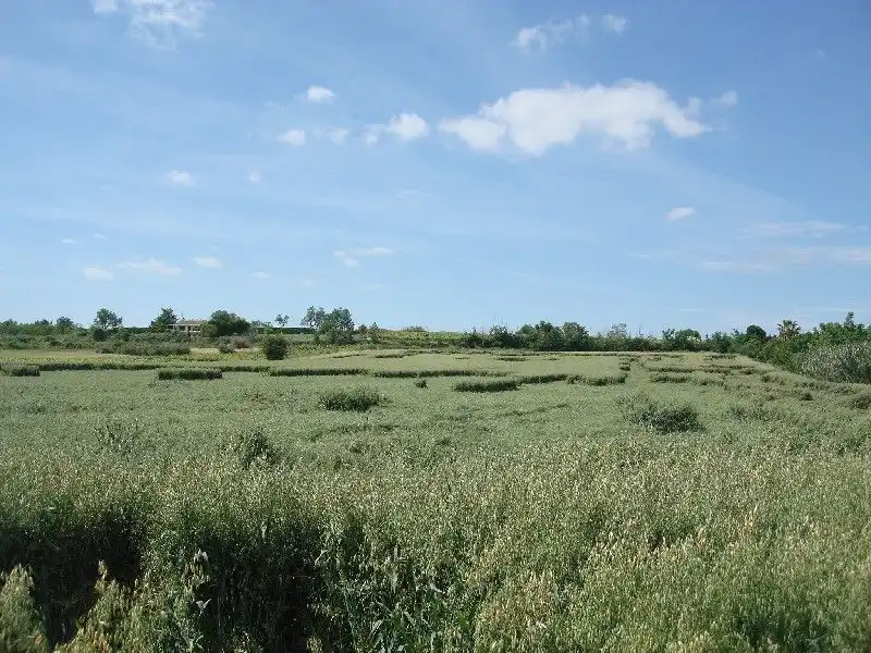 Terreny rústic en venda a Villamediana de Iregua, imagen 3