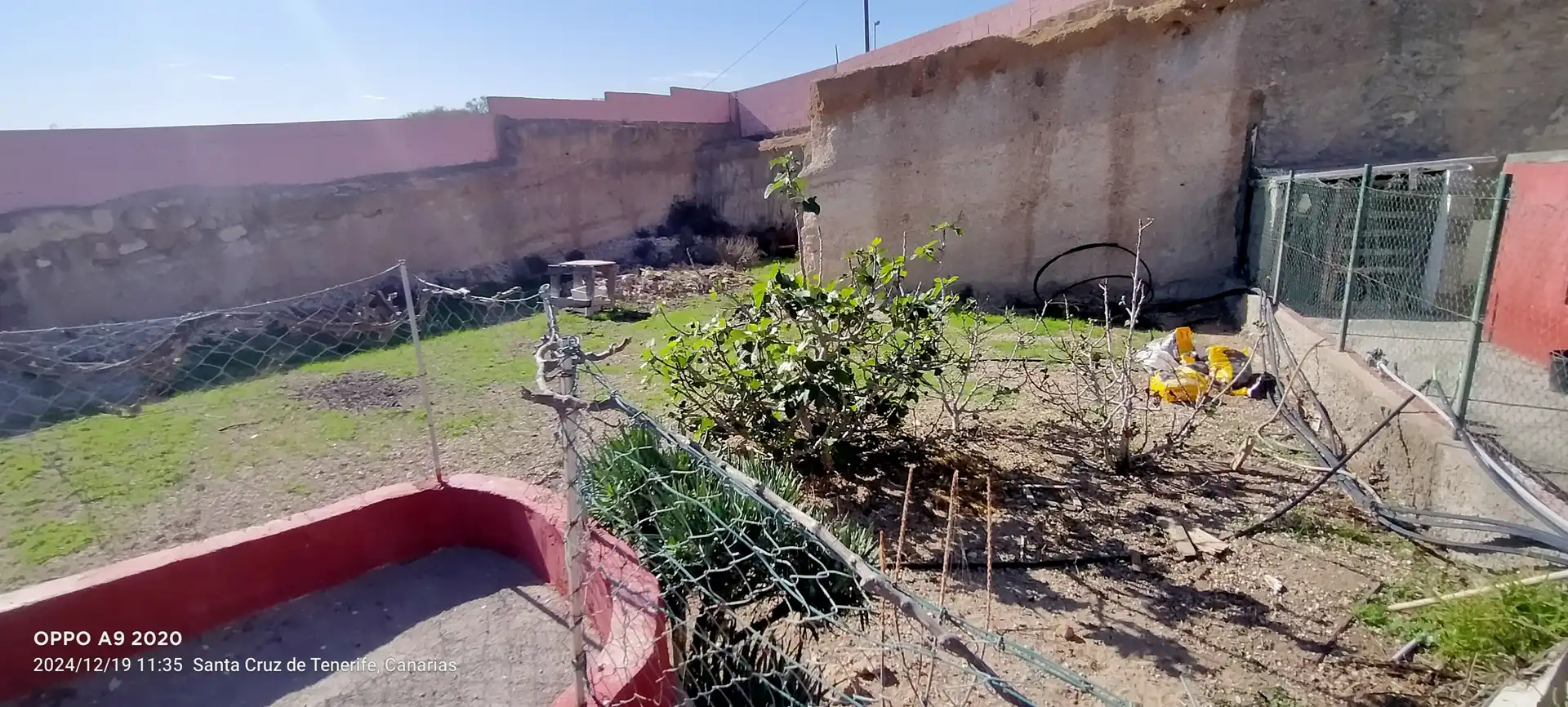 Jardí de Finca rústica en venda en Güímar amb Calefacció, Jardí privat i Terrassa